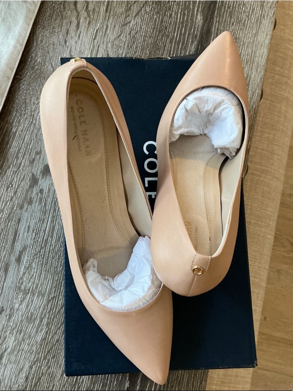 Cole Haan Nude Pointed-Toe Heels with Gold Accent